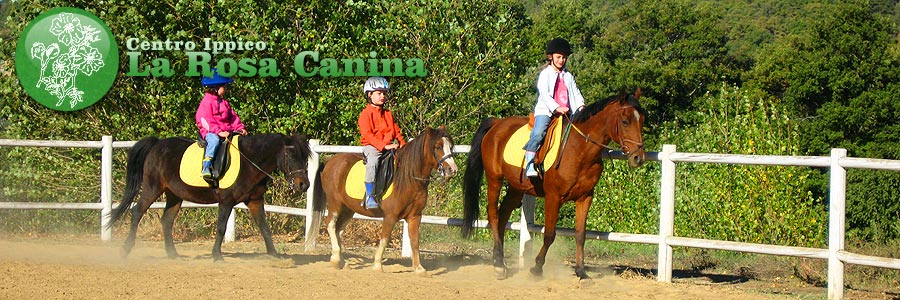 Centro Ippico la Rosa Canina, Panicale. Scuola di equitazione sul Trasimeno, Perugia.